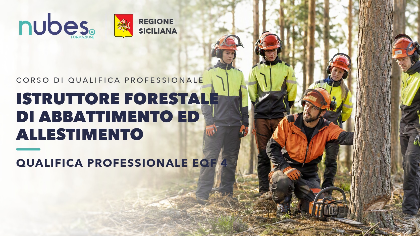 Corso di Istruttore forestale di abbattimento ed allestimento – Nubes Formazione e Regione Siciliana