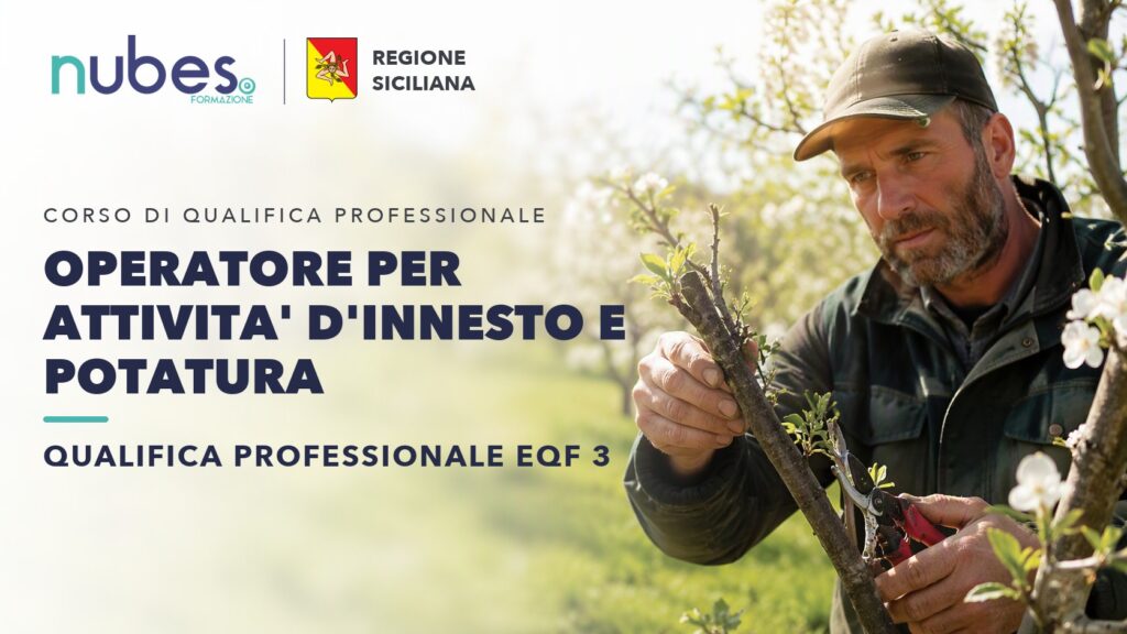 Corso di Operatore per attivita' d'innesto e potatura – Nubes Formazione e Regione Siciliana