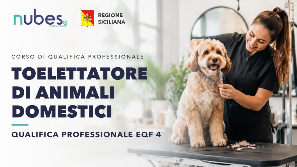 Corso di Toelettatore di animali domestici – Nubes Formazione e Regione Siciliana